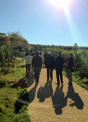 Encuentro_foreros_Rioja_2013_Marqués_Riscal_foreros_entre_viñas